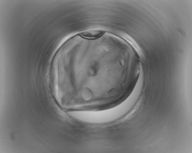 X0000115331244200911231405