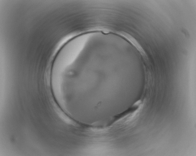 X0000115331246200911231405