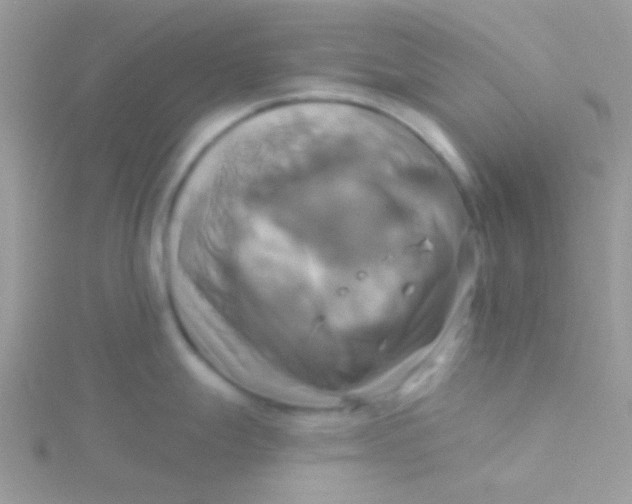 X0000115331247200911231405