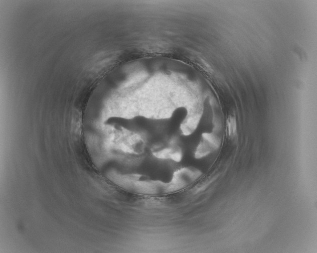 X0000115331251200911231404