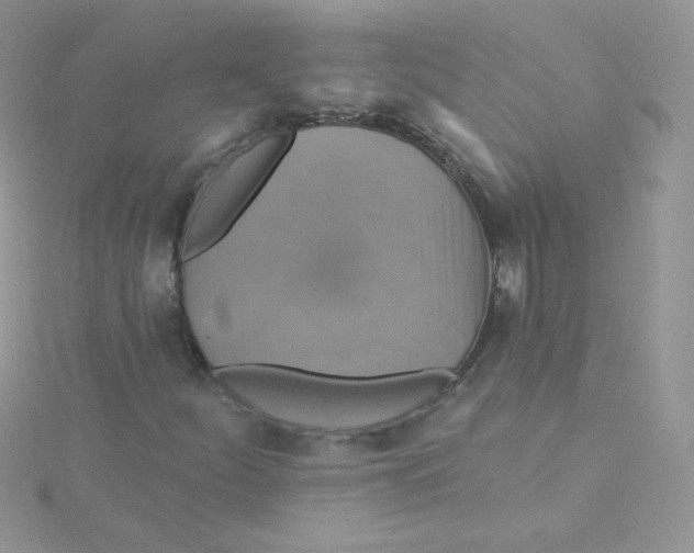 X0000115331252200911231404