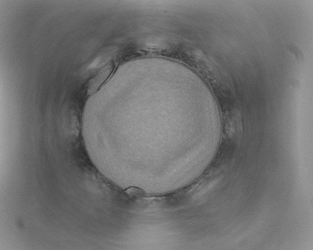 X0000115331253200911231404