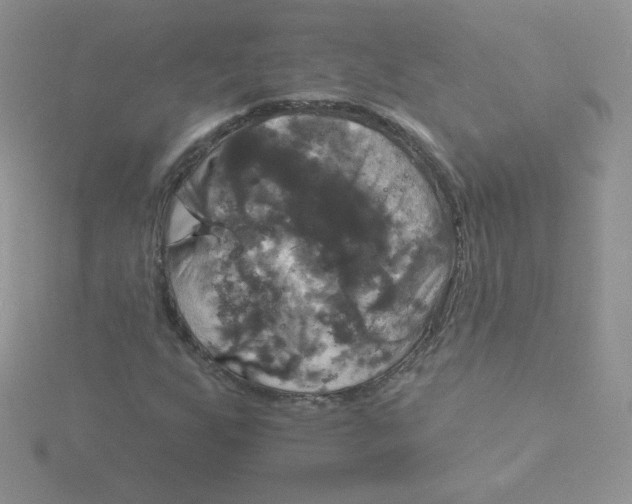 X0000115331255200911231404