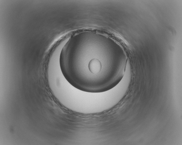 X0000115331256200911231404