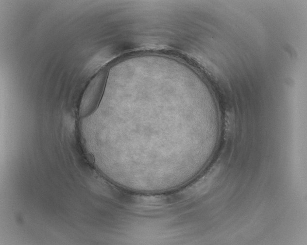 X0000115331257200911231404