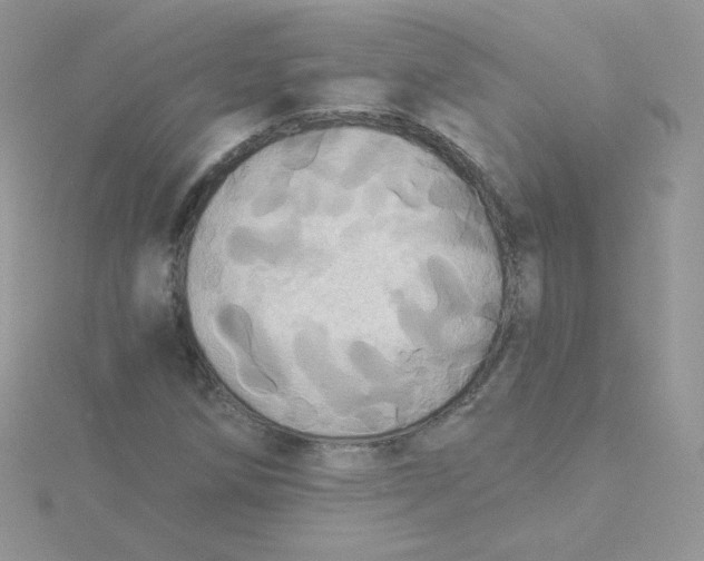 X0000115331258200911231404