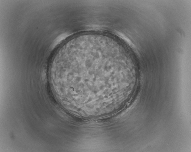 X0000115331259200911231404