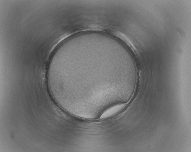 X0000115331260200911231404