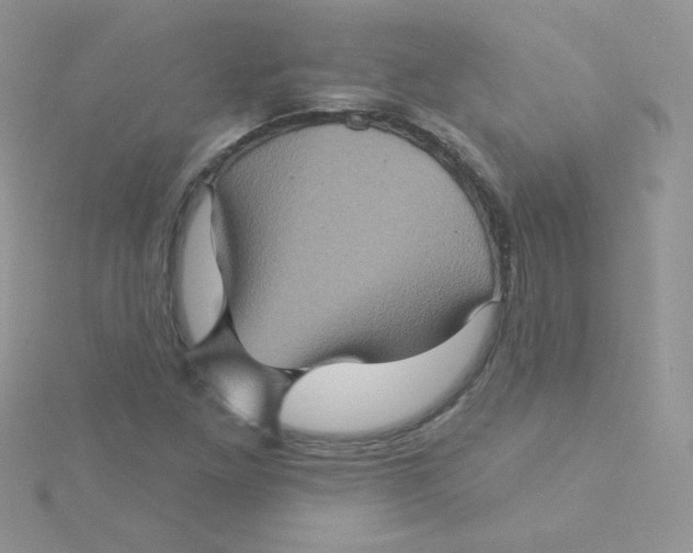 X0000115331261200911231404