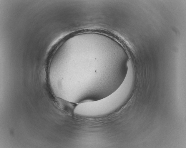 X0000115331262200911231404