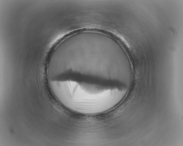 X0000115331263200911231404