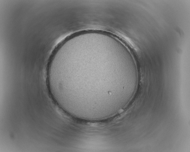 X0000115331264200911231404