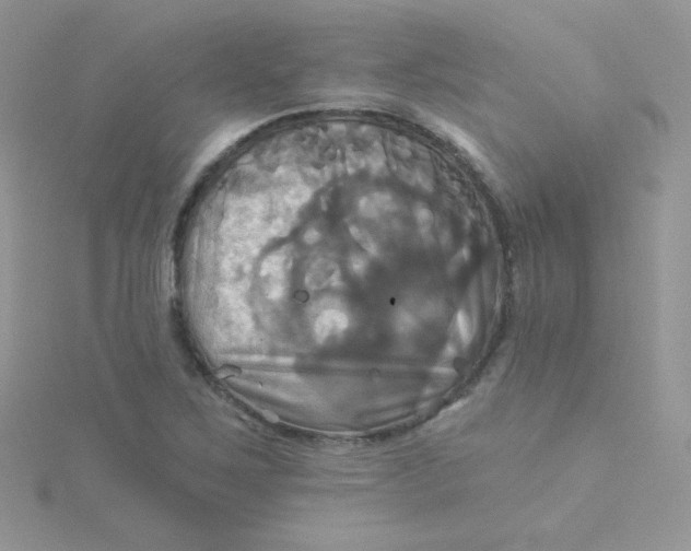 X0000115331267200911231404