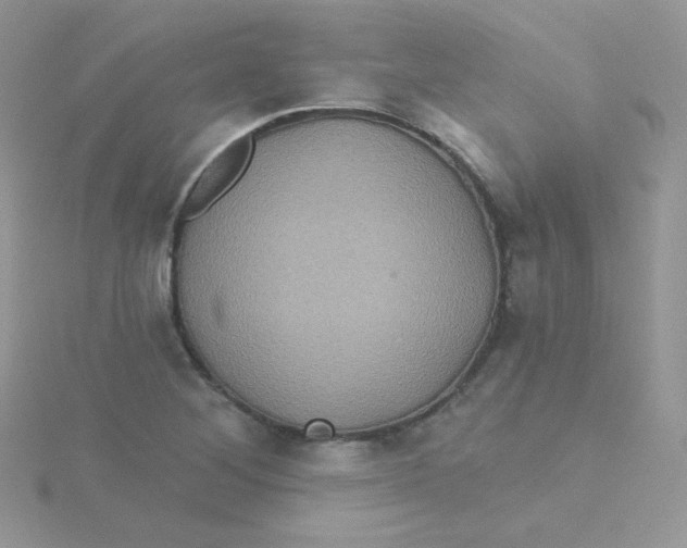 X0000115331268200911231404