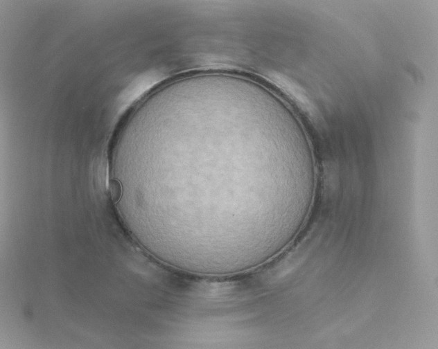 X0000115331269200911231404