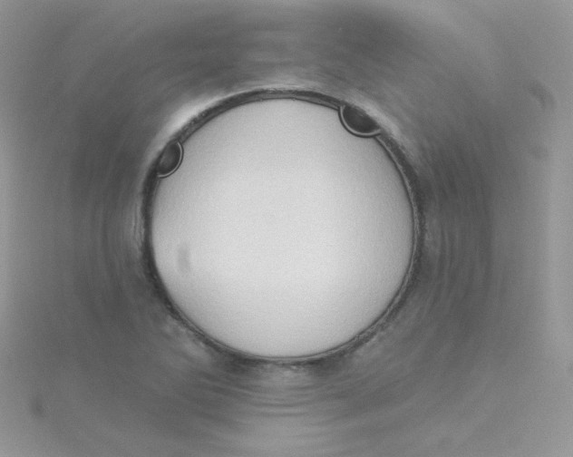 X0000115331270200911231404