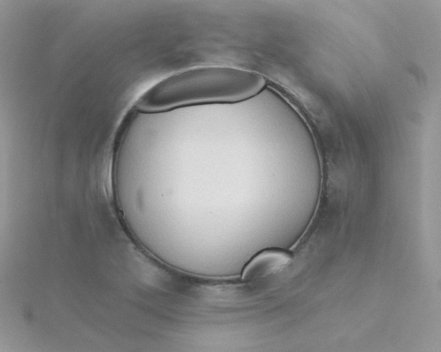 X0000115331272200911231404