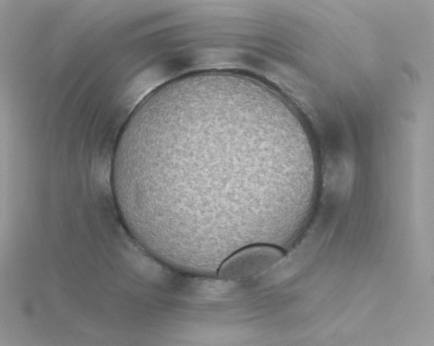 X0000115331273200911231404