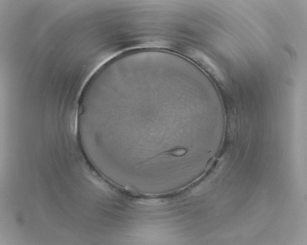 X0000115331276200911231404