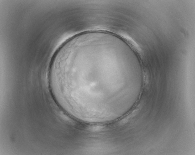 X0000115331278200911231404