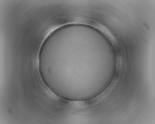 X0000115331280200911231404