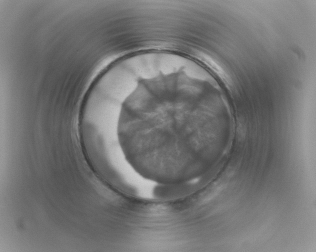 X0000115331283200911231404