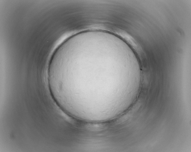 X0000115331286200911231404