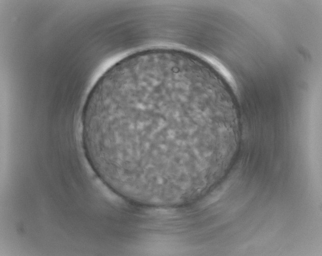 X0000115331287200911231404