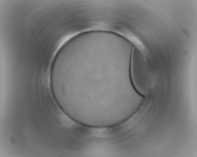 X0000115331288200911231404