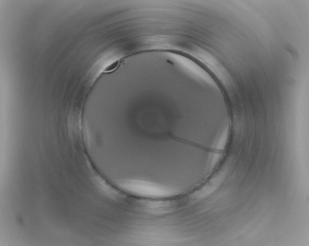 X0000115331289200911231404