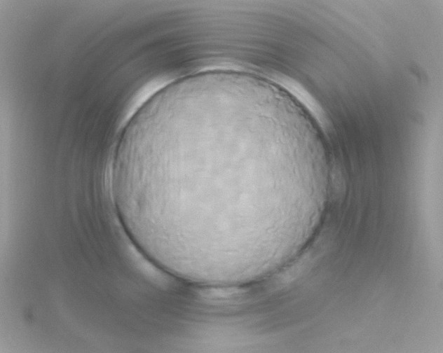 X0000115331290200911231404