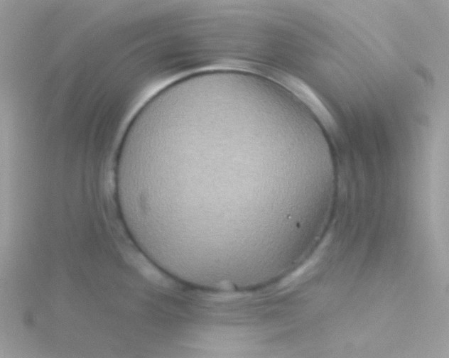 X0000115331292200911231404