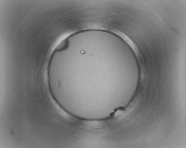 X0000115331293200911231404