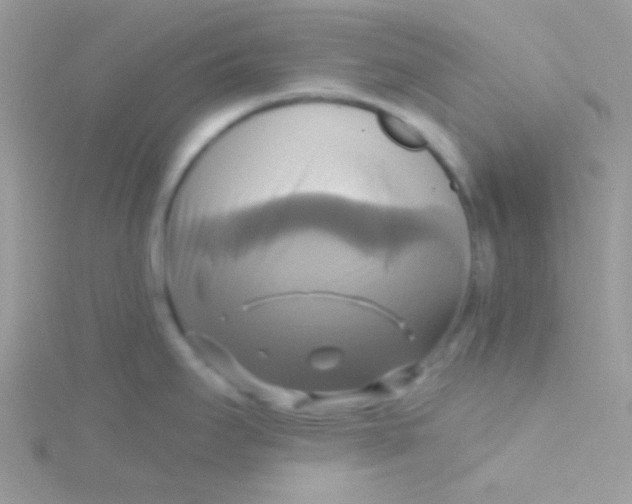 X0000115331295200911231404