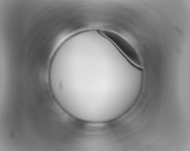 X0000115331296200911231404