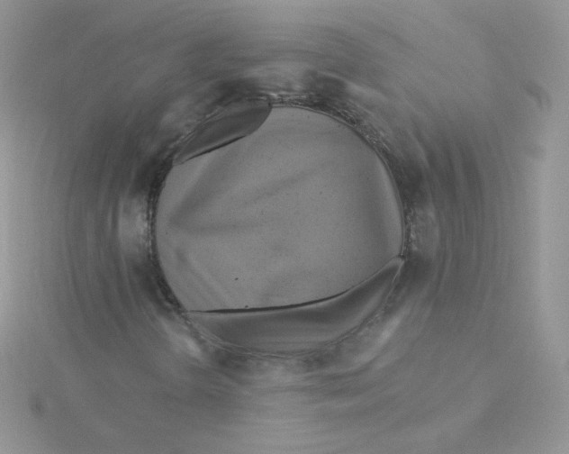 X0000115331298200911231403