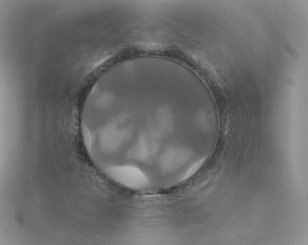 X0000115331301200911231403