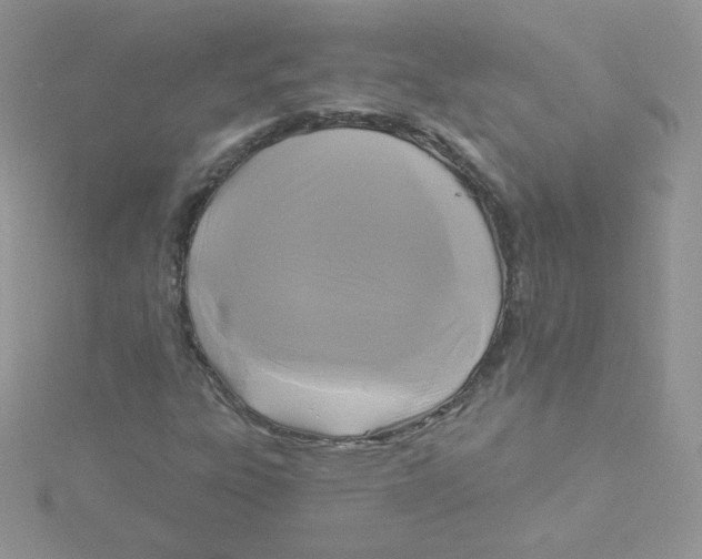 X0000115331303200911231403