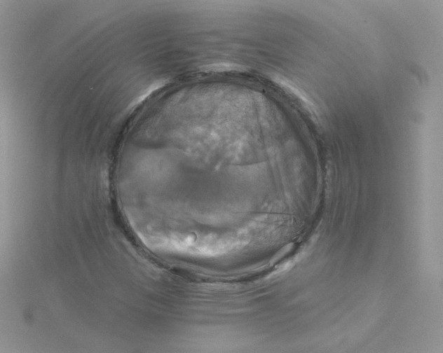 X0000115331305200911231403