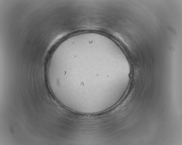 X0000115331307200911231403