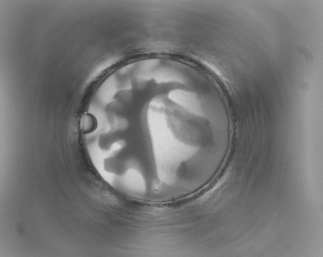 X0000115331309200911231403