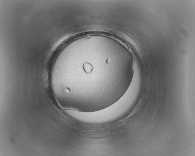 X0000115331310200911231403