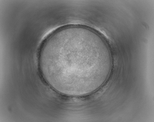 X0000115331311200911231403