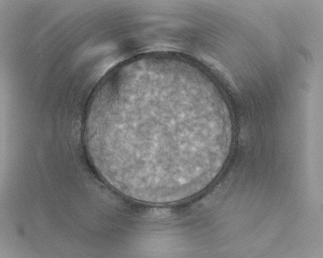 X0000115331313200911231403