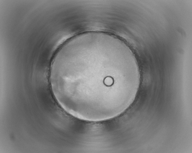 X0000115331314200911231403