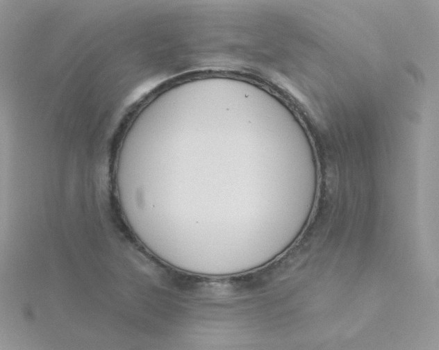 X0000115331315200911231403