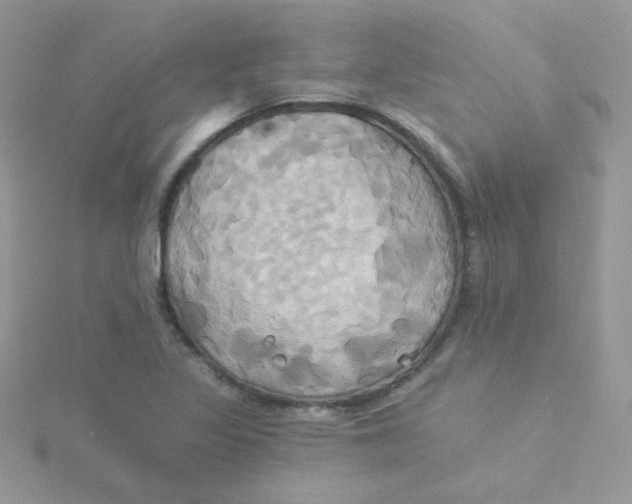 X0000115331317200911231403