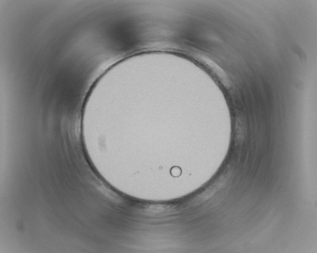 X0000115331322200911231404