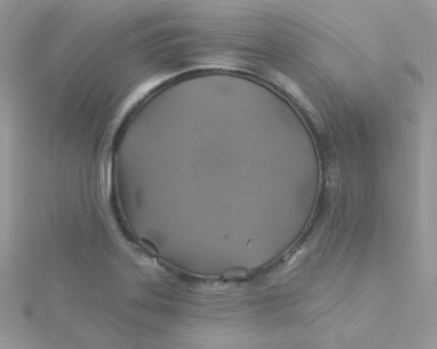 X0000115331323200911231404