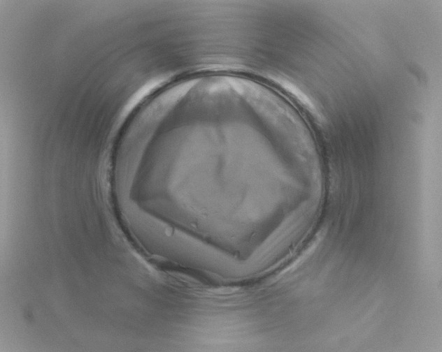 X0000115331325200911231404